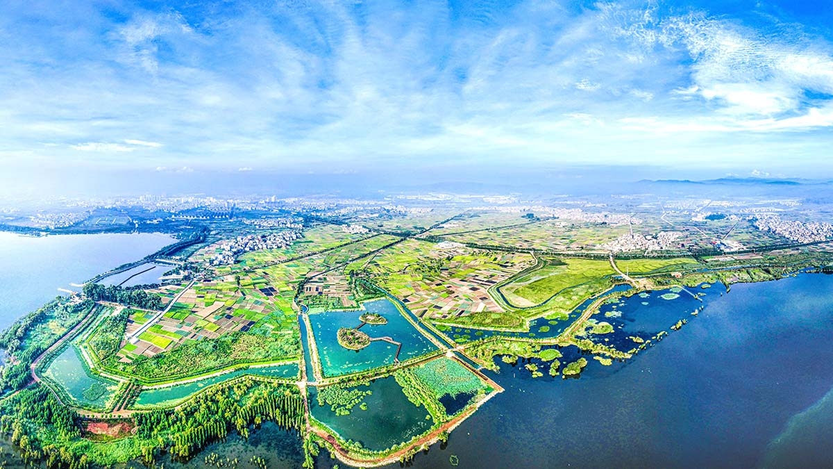 星云湖南岸湿地、湖滨带提质改造工程