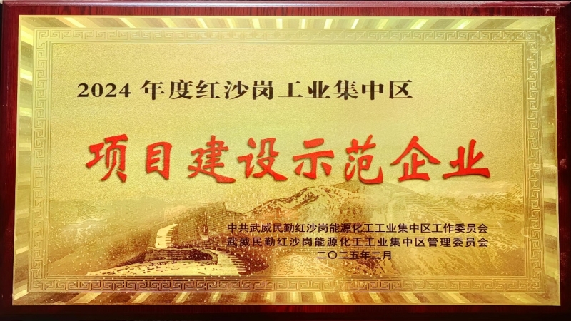 高效履约树标杆！中机国际被评为民勤红沙岗工业区 “2024年度项目建设示范企业”