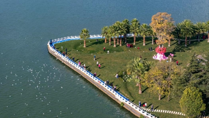 引爆全媒体热潮！新年庆福保，中机国际助力福保半岛乡村振兴建设