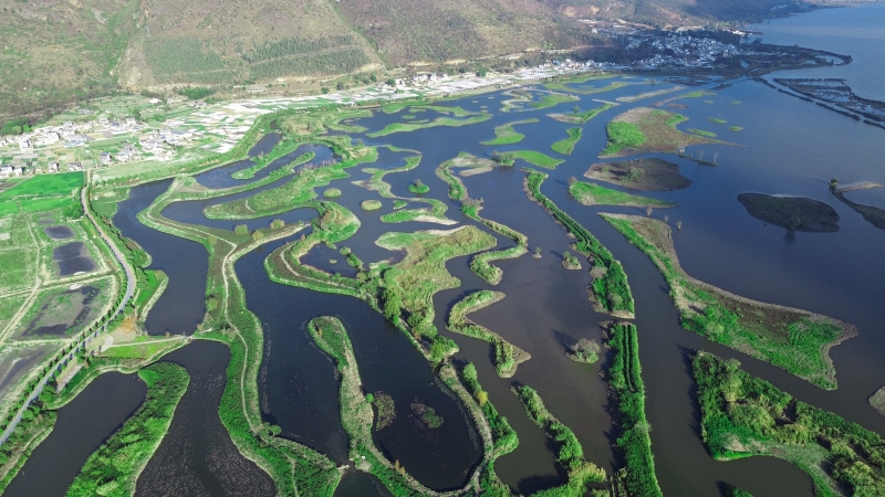 聚焦症结因地制宜治理  顺应自然因势利导修复 ——高原湖泊生态缓冲带保护修复新示范