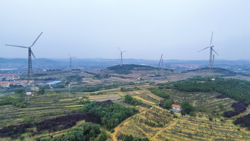 以大代小，青岛大桥风场改造的“焕新密码”