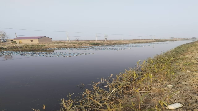 水产养殖尾水治理，助力渔业绿色生态高质量发展